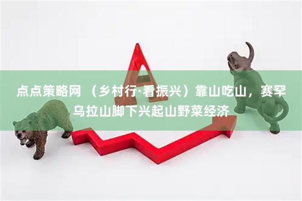 点点策略网 （乡村行·看振兴）靠山吃山，赛罕乌拉山脚下兴起山野菜经济