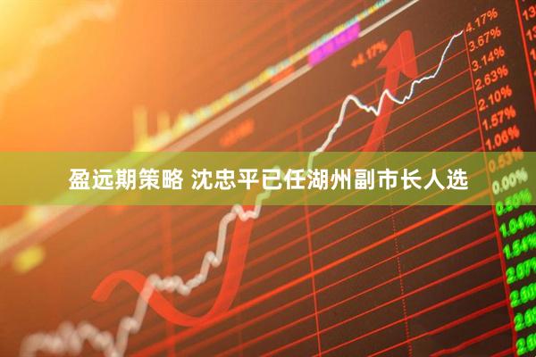盈远期策略 沈忠平已任湖州副市长人选