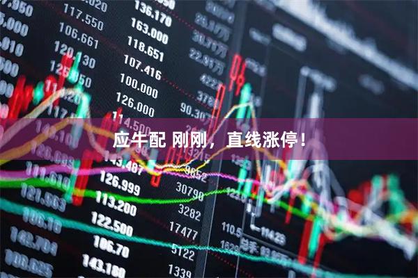 应牛配 刚刚，直线涨停！