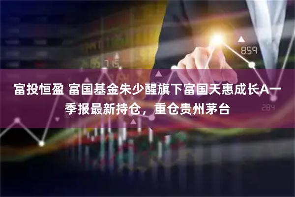 富投恒盈 富国基金朱少醒旗下富国天惠成长A一季报最新持仓，重仓贵州茅台