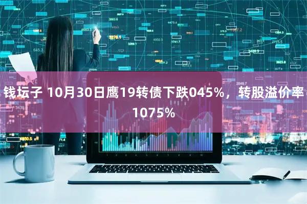 钱坛子 10月30日鹰19转债下跌045%,转股溢价率1075%