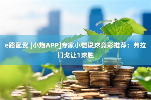e路配资 [小炮APP]专家小恺说球竞彩推荐：弗拉门戈让1球胜